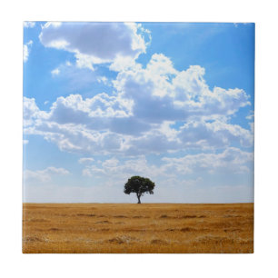 Baum auf einem geernteten Weizenfeld Fliese