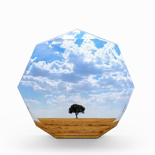 Baum auf einem geernteten Weizenfeld Fotoblock (Vorderseite)