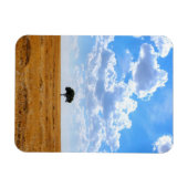 Baum auf einem geernteten Weizenfeld Magnet (Horizontal)