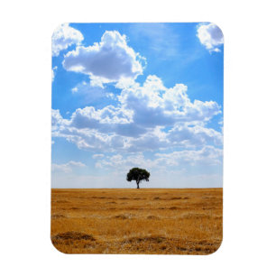 Baum auf einem geernteten Weizenfeld Magnet