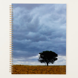 Baum auf einem leeren Feld Planer