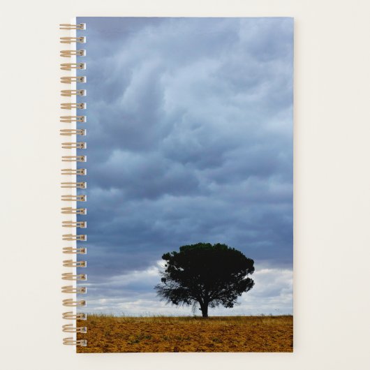Baum auf einem leeren Feld Planer (Vorderseite)