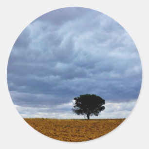 Baum auf einem leeren Feld Runder Aufkleber