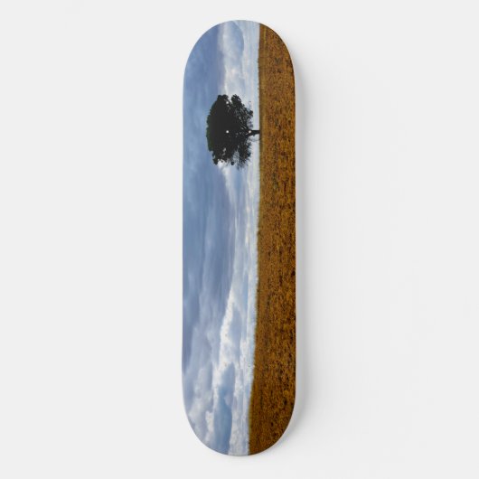 Baum auf einem leeren Feld Skateboard (Vorderseite)