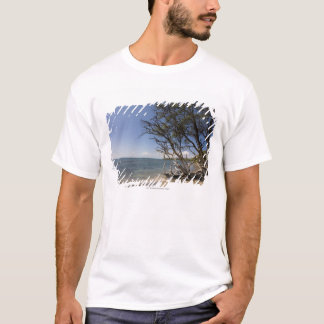 Baum auf einem Strand entlang der Küstenlinie T-Shirt