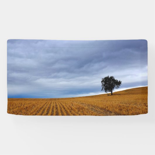 Baum auf einem Weizenfeld Banner (Horizontal)
