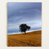 Baum auf einem Weizenfeld Planer (Vorderseite)