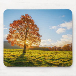 Baum auf Feuer Mousepad