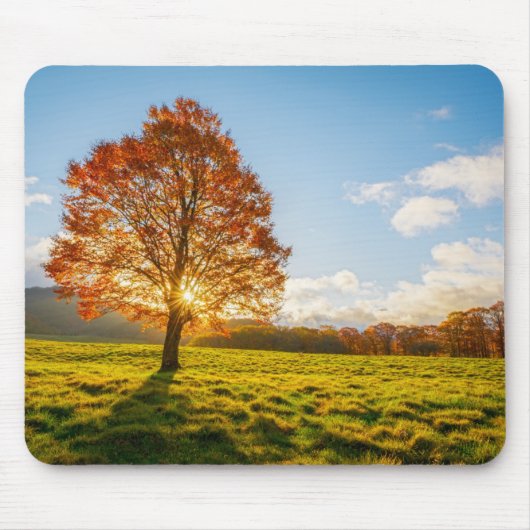Baum auf Feuer Mousepad (Vorne)