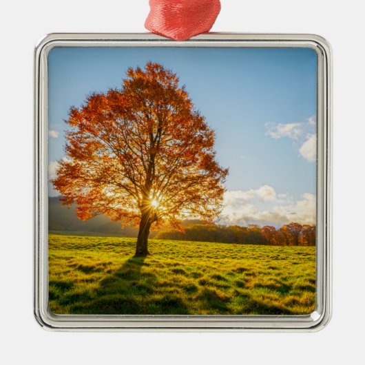 Baum auf Feuer Ornament Aus Metall (Vorne)