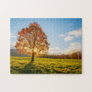 Baum auf Feuer Puzzle