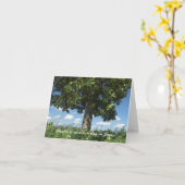 BAUM AUF GRASSY WNOW; BLUE SKY, FLUFFY WHITE CLOUD KARTE (Gelbe Blume)