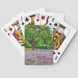 Baum auf Lavendelfeld, Frankreich Spielkarten