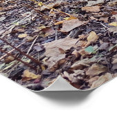 Baum-Außendesign der Natur Poster (Ecke)