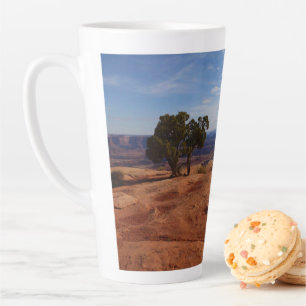 Baum außerhalb von Red Rocks I bei Canyonlands Milchtasse