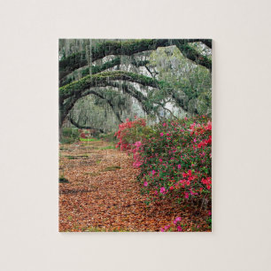 Baum-Azaleen-Eichen-Magnolie Charleston Puzzle