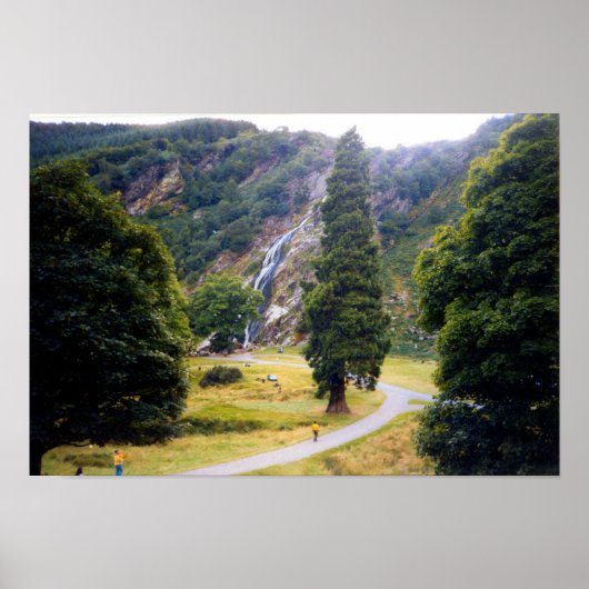 Baum bei Powerscourt Falls Poster (Vorne)