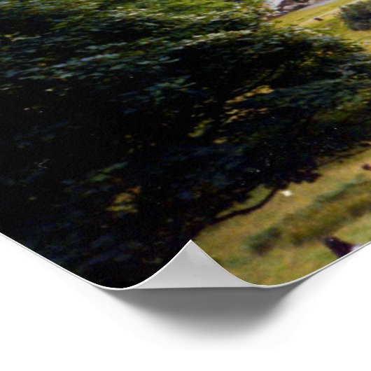 Baum bei Powerscourt Falls Poster (Ecke)