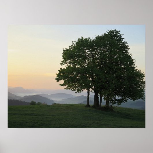 Baum bei Sonnenaufgang Poster (Vorne)