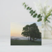 Baum bei Sonnenaufgang Postkarte (Stehend Vorderseite)