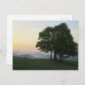 Baum bei Sonnenaufgang Postkarte (Vorne/Hinten)