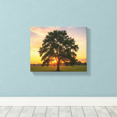 Baum bei Sonnenuntergang Leinwanddruck (Insitu (Holzboden))