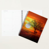 Baum bei Sonnenuntergang Planer (Anzeige)