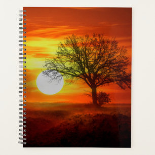 Baum bei Sonnenuntergang Planer