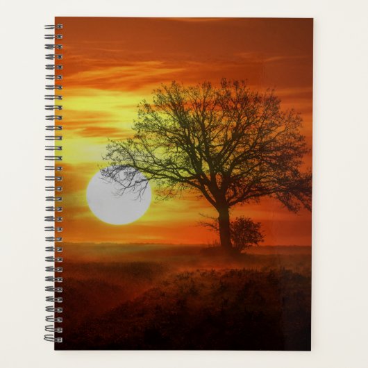 Baum bei Sonnenuntergang Planer (Vorderseite)
