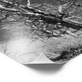 Baum bei Yellowstone Fotodruck (Ecke)