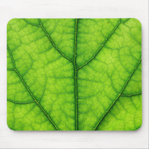Baum-Blattbeschaffenheit der Natur grüne Mousepad