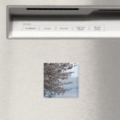 Baum-Blüten-Kühlschrankmagnet Magnet (In Situ (Geschirrspüler))