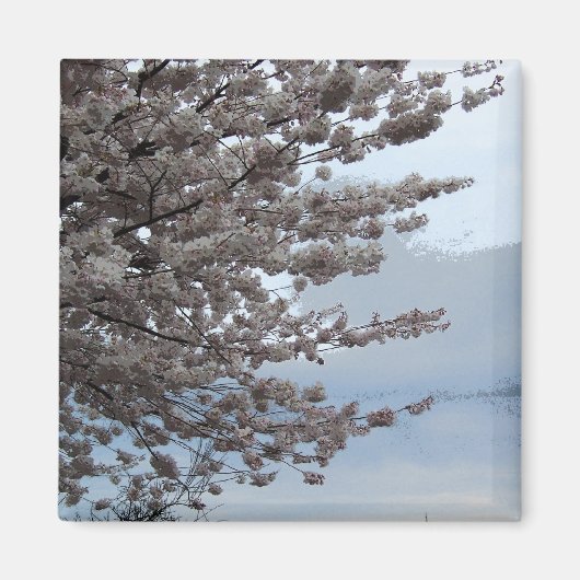 Baum-Blüten-Kühlschrankmagnet Magnet (Vorne)