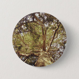 Baum Button