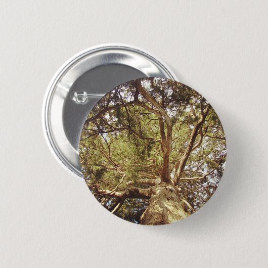 Baum Button (Vorne & Hinten)