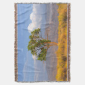 Baum Decke (Vorderseite Vertikal)