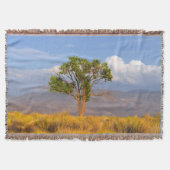 Baum Decke (Vorderseite)