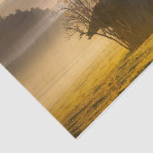 Baum dekorierte Hütte am Morgen Nebel Seidenpapier (Ausschnitt)