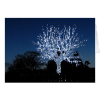 Baum der Liebe