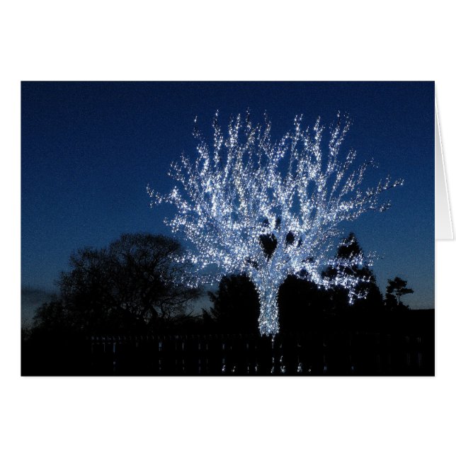 Baum der Liebe (Vorderseite (Horizontal))