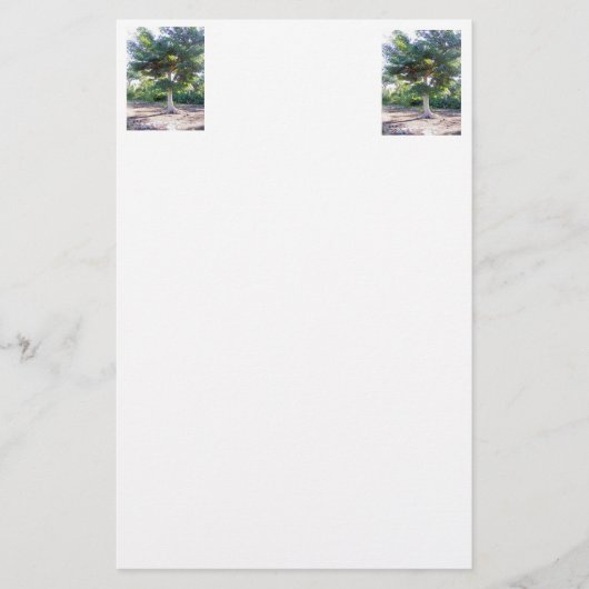 Baum der Schreibwaren der Weisheit Briefpapier (Vorderseite)