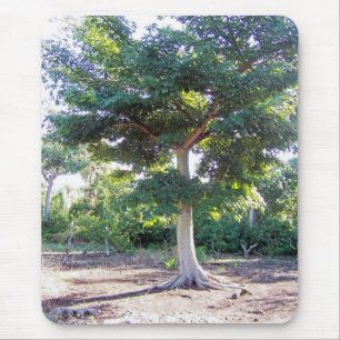 Baum der Weisheit-Mousepad Mousepad