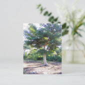 Baum der Weisheit-Postkarte Postkarte (Stehend Vorderseite)