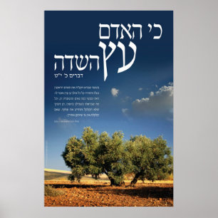 Baum des Feldes Poster