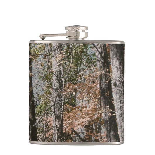 Baum- des flachmann (Vorderseite)