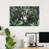 Baum des Foto Poster (Heimbüro)