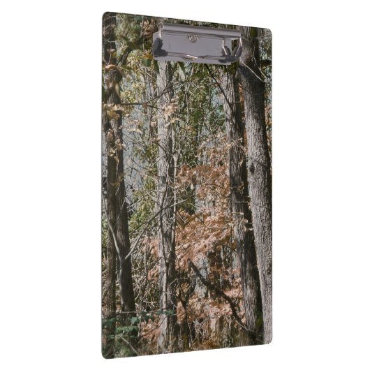 Baum- des klemmbrett (Rechts)