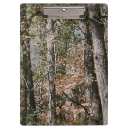 Baum- des klemmbrett