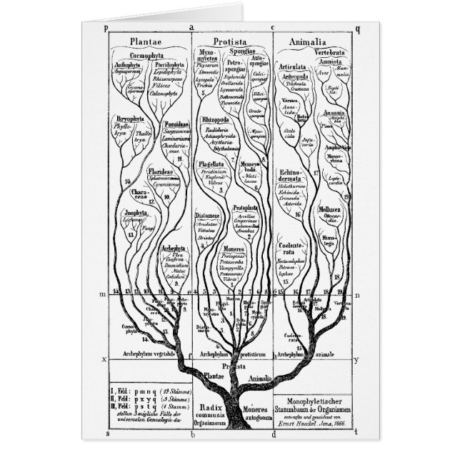 Baum des Lebens (Vorne)