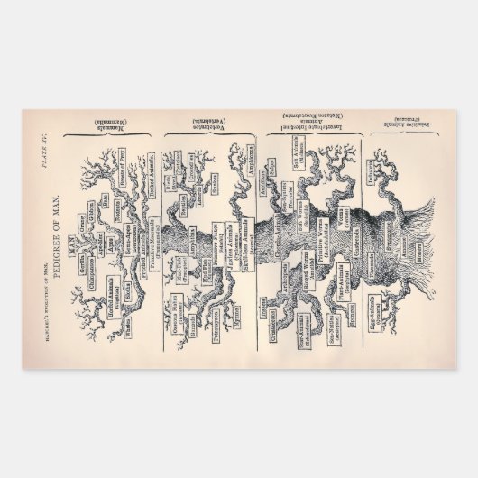 "Baum des Lebens" 1859 Illustration von Ernst Haec Rechteckiger Aufkleber (Vorderseite)